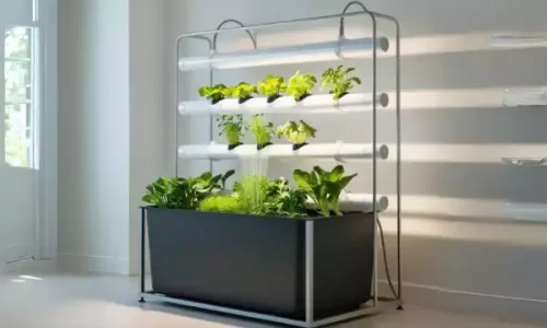 Horta Hidropônica Vertical em PVC: Um Guia Prático para Cultivar em Casa com Eficiência!